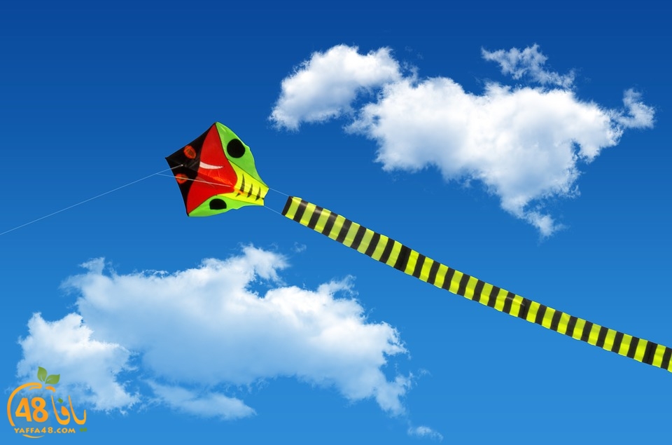 jamhirty majrkaz (5).jpg